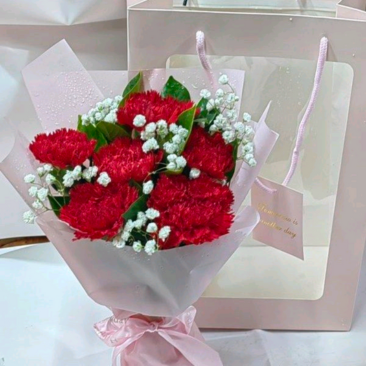 6朵紅康乃馨花束 香港母親節鮮花 即日送貨