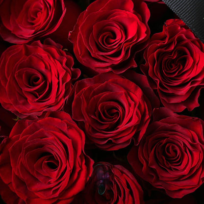 紅玫瑰33/52/99支香港鮮花即日配送